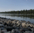 Вода прибывает, но до опасности далеко: обстановка на водохранилищах Татарстана - ТРК Татарстан-Новый век
