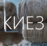 В кинотеатре «Мир» состоится премьера короткометражного документального фильма «Киез» - Министерство культуры