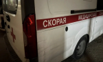 В Нижнекамске бультерьер на прогулке изувечил лицо 12-летней девочки
