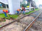 За две недели специалисты МУП «Метроэлектротранс» заменили 143 деревянные шпалы