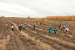 В Арском районе РТ посадят 5 тыс. деревьев для защиты Казанки