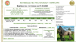 Субсидии на конюшни и спрос на кумыс: что нужно для развития коневодства